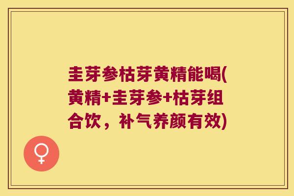 圭芽参枯芽黄精能喝(黄精+圭芽参+枯芽组合饮，养颜有效)