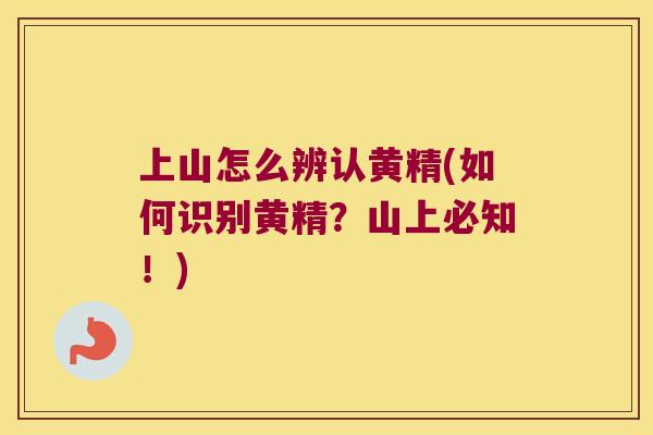上山怎么辨认黄精(如何识别黄精?山上必知!) 上山怎么辨认黄精(如何识别黄精?山上必知!)