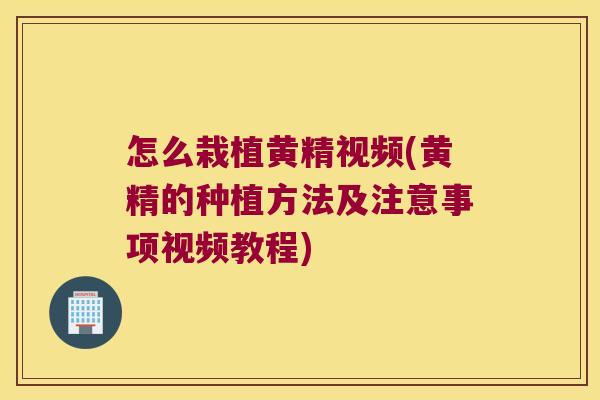怎么栽植黄精视频(黄精的种植方法及注意事项视频教程)