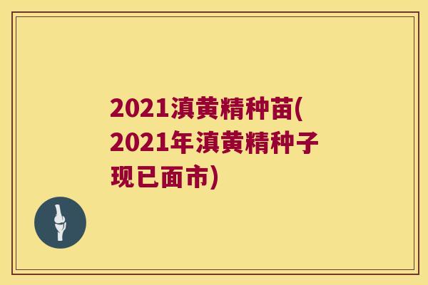 2021滇黄精种苗(2021年滇黄精种子现已面市)