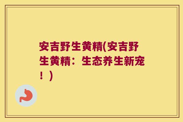 安吉野生黄精(安吉野生黄精:生态养生新宠!) 安吉野生黄精(安吉野生黄精:生态养生新宠!)