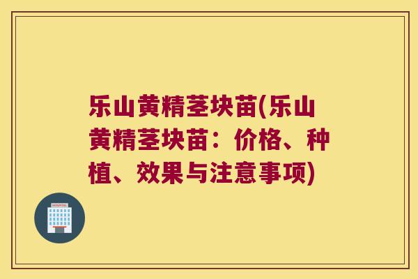 乐山黄精茎块苗(乐山黄精茎块苗：价格、种植、效果与注意事项)
