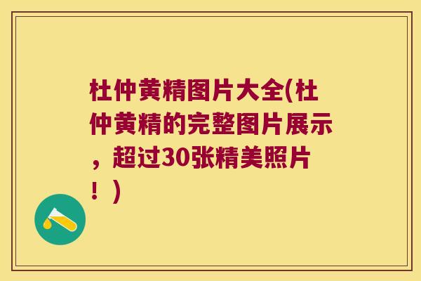 杜仲黄精图片大全(杜仲黄精的完整图片展示，超过30张精美照片！)