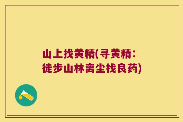 山上找黄精(寻黄精:徒步山林离尘找良药) 山上找黄精(寻黄精:徒步山林离尘找良药)