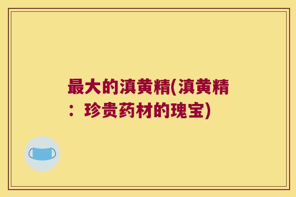 大的滇黄精(滇黄精:珍贵药材的瑰宝) 大的滇黄精(滇黄精:珍贵药材的瑰宝)