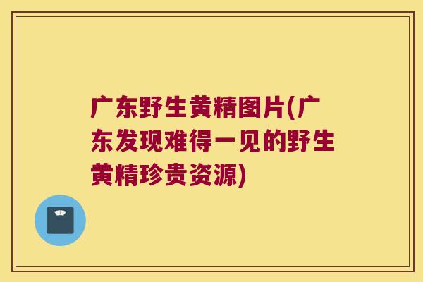 广东野生黄精图片(广东发现难得一见的野生黄精珍贵资源)