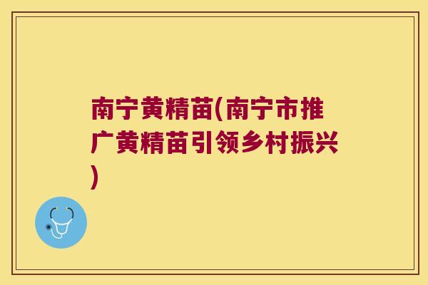 南宁黄精苗(南宁市推广黄精苗引领乡村振兴)