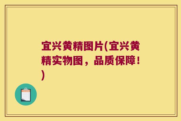 宜兴黄精图片(宜兴黄精实物图，品质保障！)