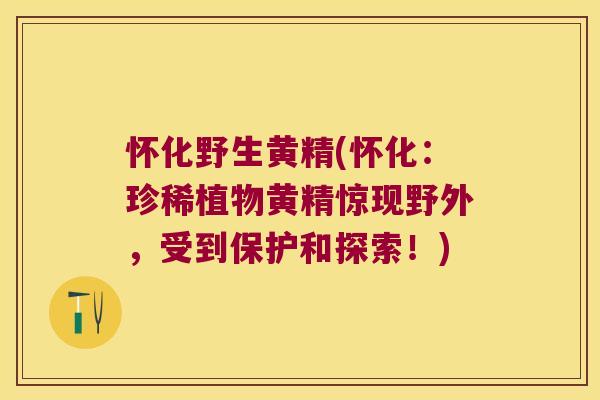 怀化野生黄精(怀化:珍稀植物黄精惊现野外,受到保护和探索!) 怀化野生黄精(怀化:珍稀植物黄精惊现野外,受到保护和探索!)