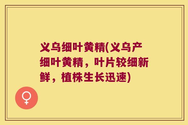 义乌细叶黄精(义乌产细叶黄精,叶片较细新鲜,植株生长迅速) 义乌细叶黄精(义乌产细叶黄精,叶片较细新鲜,植株生长迅速)