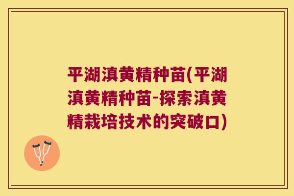 平湖滇黄精种苗(平湖滇黄精种苗-探索滇黄精栽培技术的突破口) 平湖滇黄精种苗(平湖滇黄精种苗-探索滇黄精栽培技术的突破口)