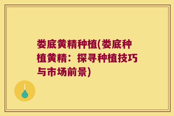 娄底黄精种植(娄底种植黄精:探寻种植技巧与市场前景) 娄底黄精种植(娄底种植黄精:探寻种植技巧与市场前景)
