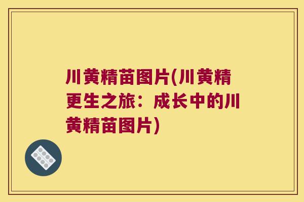 川黄精苗图片(川黄精更生之旅:成长中的川黄精苗图片) 川黄精苗图片(川黄精更生之旅:成长中的川黄精苗图片)