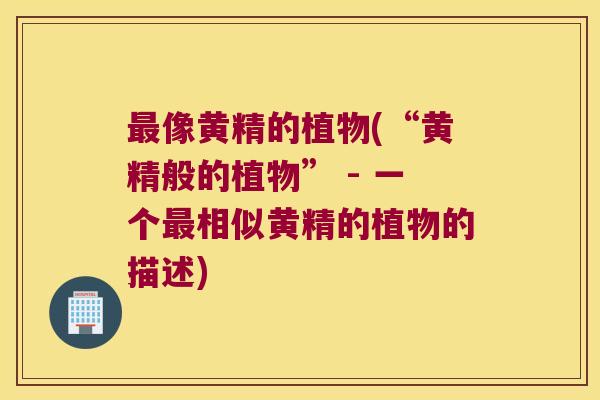 像黄精的植物(“黄精般的植物” - 一个相似黄精的植物的描述) 像黄精的植物(“黄精般的植物” - 一个相似黄精的植物的描述)