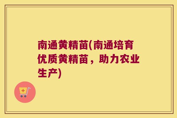 南通黄精苗(南通培育优质黄精苗,助力农业生产) 南通黄精苗(南通培育优质黄精苗,助力农业生产)