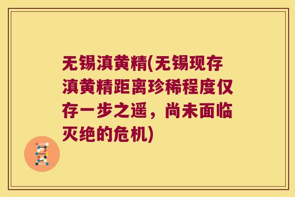 无锡滇黄精(无锡现存滇黄精距离珍稀程度仅存一步之遥,尚未面临灭绝的危机) 无锡滇黄精(无锡现存滇黄精距离珍稀程度仅存一步之遥,尚未面临灭绝的危机)
