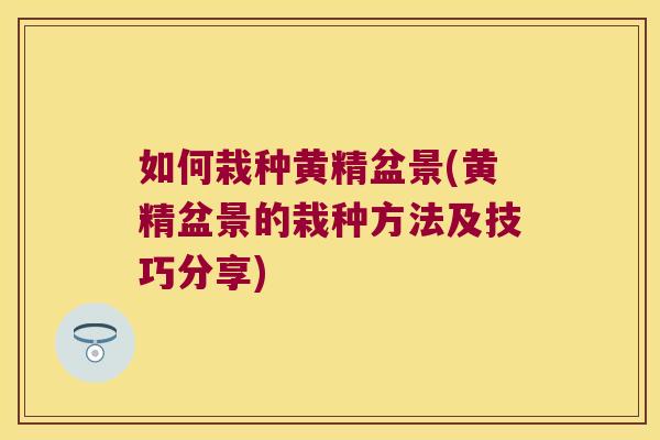 如何栽种黄精盆景(黄精盆景的栽种方法及技巧分享) 如何栽种黄精盆景(黄精盆景的栽种方法及技巧分享)