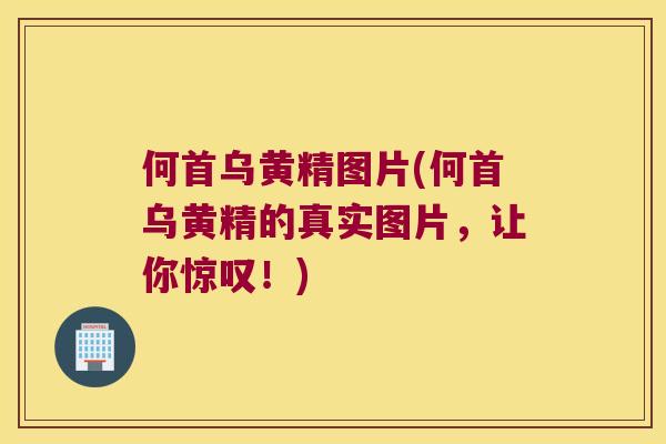 何首乌黄精图片(何首乌黄精的真实图片，让你惊叹！)
