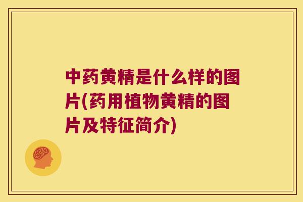 黄精是什么样的图片(药用植物黄精的图片及特征简介)