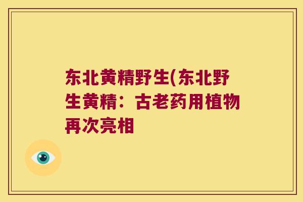 东北黄精野生(东北野生黄精：古老药用植物再次亮相