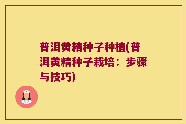 普洱黄精种子种植(普洱黄精种子栽培：步骤与技巧)