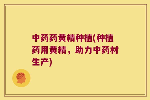 药黄精种植(种植药用黄精,助力材生产) 药黄精种植(种植药用黄精,助力材生产)