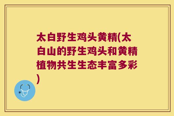 太白野生鸡头黄精(太白山的野生鸡头和黄精植物共生生态丰富多彩) 太白野生鸡头黄精(太白山的野生鸡头和黄精植物共生生态丰富多彩)