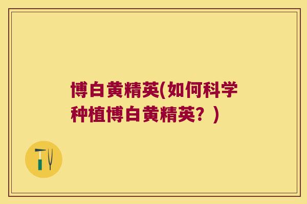 博白黄精英(如何科学种植博白黄精英?) 博白黄精英(如何科学种植博白黄精英?)