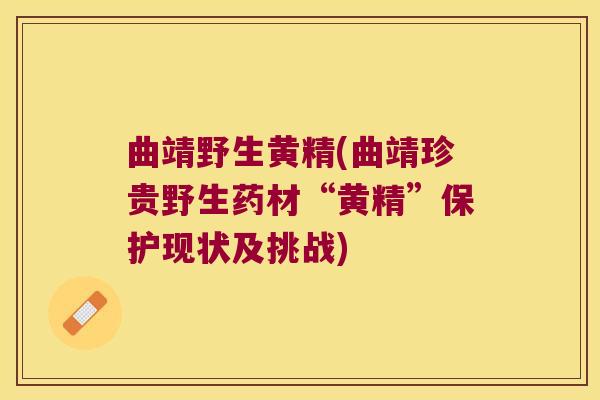 曲靖野生黄精(曲靖珍贵野生药材“黄精”保护现状及挑战) 曲靖野生黄精(曲靖珍贵野生药材“黄精”保护现状及挑战)
