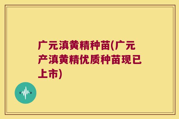 广元滇黄精种苗(广元产滇黄精优质种苗现已上市) 广元滇黄精种苗(广元产滇黄精优质种苗现已上市)