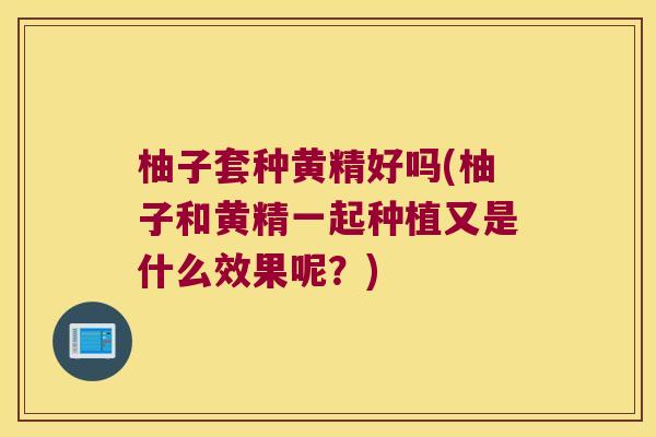 柚子套种黄精好吗(柚子和黄精一起种植又是什么效果呢?) 柚子套种黄精好吗(柚子和黄精一起种植又是什么效果呢?)