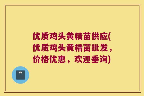 优质鸡头黄精苗供应(优质鸡头黄精苗批发，价格优惠，欢迎垂询)