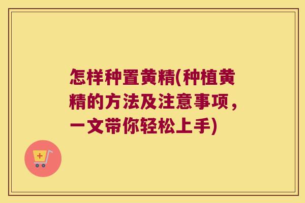 怎样种置黄精(种植黄精的方法及注意事项，一文带你轻松上手)