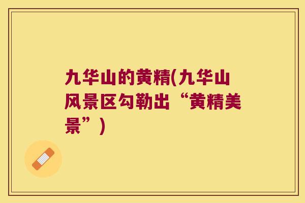 九华山的黄精(九华山风景区勾勒出“黄精美景”)