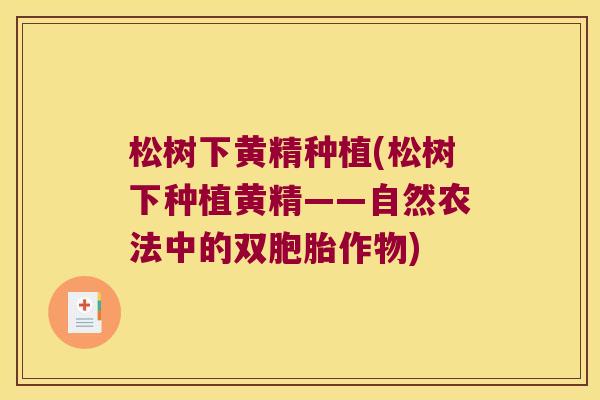 松树下黄精种植(松树下种植黄精——自然农法中的双胞胎作物) 松树下黄精种植(松树下种植黄精——自然农法中的双胞胎作物)