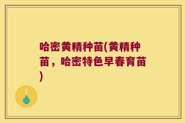 哈密黄精种苗(黄精种苗，哈密特色早春育苗)