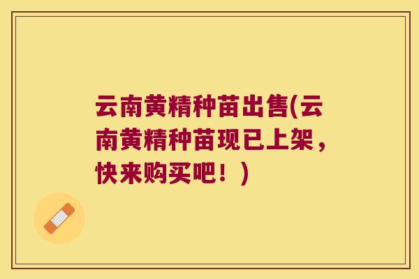 云南黄精种苗出售(云南黄精种苗现已上架,快来购买吧!) 云南黄精种苗出售(云南黄精种苗现已上架,快来购买吧!)