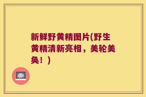 新鲜野黄精图片(野生黄精清新亮相，美轮美奂！)