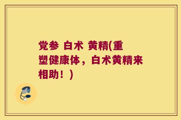 党参 白术 黄精(重塑健康体，白术黄精来相助！)