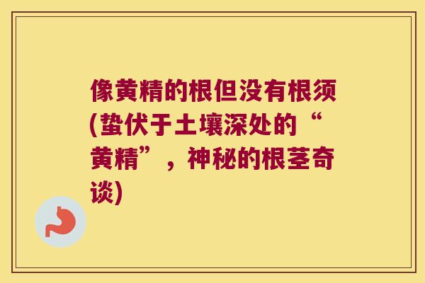 像黄精的根但没有根须(蛰伏于土壤深处的“黄精”，神秘的根茎奇谈)