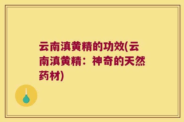 云南滇黄精的功效(云南滇黄精:神奇的天然药材) 云南滇黄精的功效(云南滇黄精:神奇的天然药材)