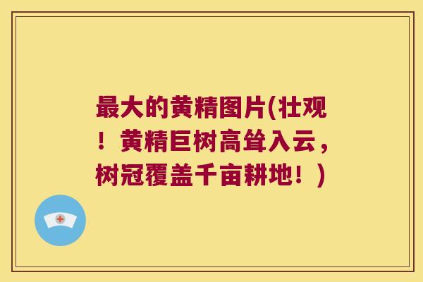 大的黄精图片(壮观!黄精巨树高耸入云,树冠覆盖千亩耕地!) 大的黄精图片(壮观!黄精巨树高耸入云,树冠覆盖千亩耕地!)