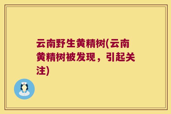 云南野生黄精树(云南黄精树被发现,引起关注) 云南野生黄精树(云南黄精树被发现,引起关注)
