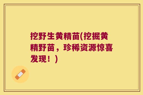 挖野生黄精苗(挖掘黄精野苗,珍稀资源惊喜发现!) 挖野生黄精苗(挖掘黄精野苗,珍稀资源惊喜发现!)