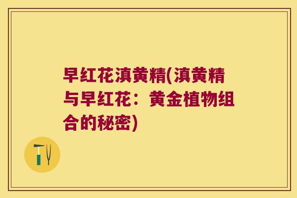 早红花滇黄精(滇黄精与早红花：黄金植物组合的秘密)