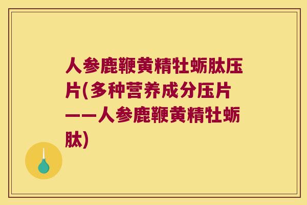 人参鹿鞭黄精牡蛎肽压片(多种营养成分压片——人参鹿鞭黄精牡蛎肽)