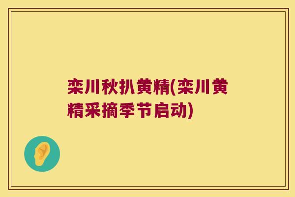 栾川秋扒黄精(栾川黄精采摘季节启动) 栾川秋扒黄精(栾川黄精采摘季节启动)