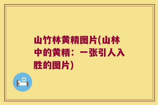 山竹林黄精图片(山林中的黄精:一张引人入胜的图片) 山竹林黄精图片(山林中的黄精:一张引人入胜的图片)