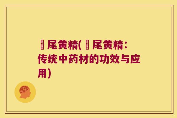 廘尾黄精(廘尾黄精:传统材的功效与应用) 廘尾黄精(廘尾黄精:传统材的功效与应用)