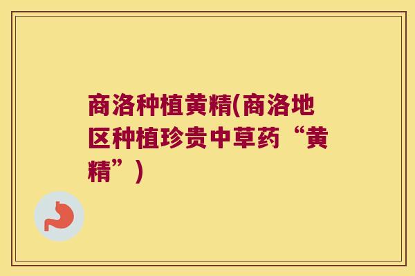 商洛种植黄精(商洛地区种植珍贵中草药“黄精”)